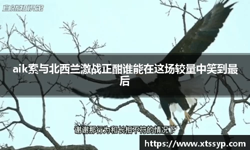 aik索与北西兰激战正酣谁能在这场较量中笑到最后